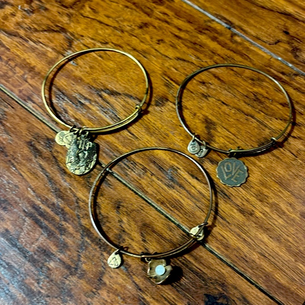Lot of 3 Alex and Ani Bracelets
